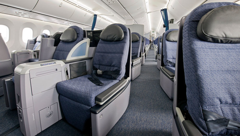 a close-up of a plane seats