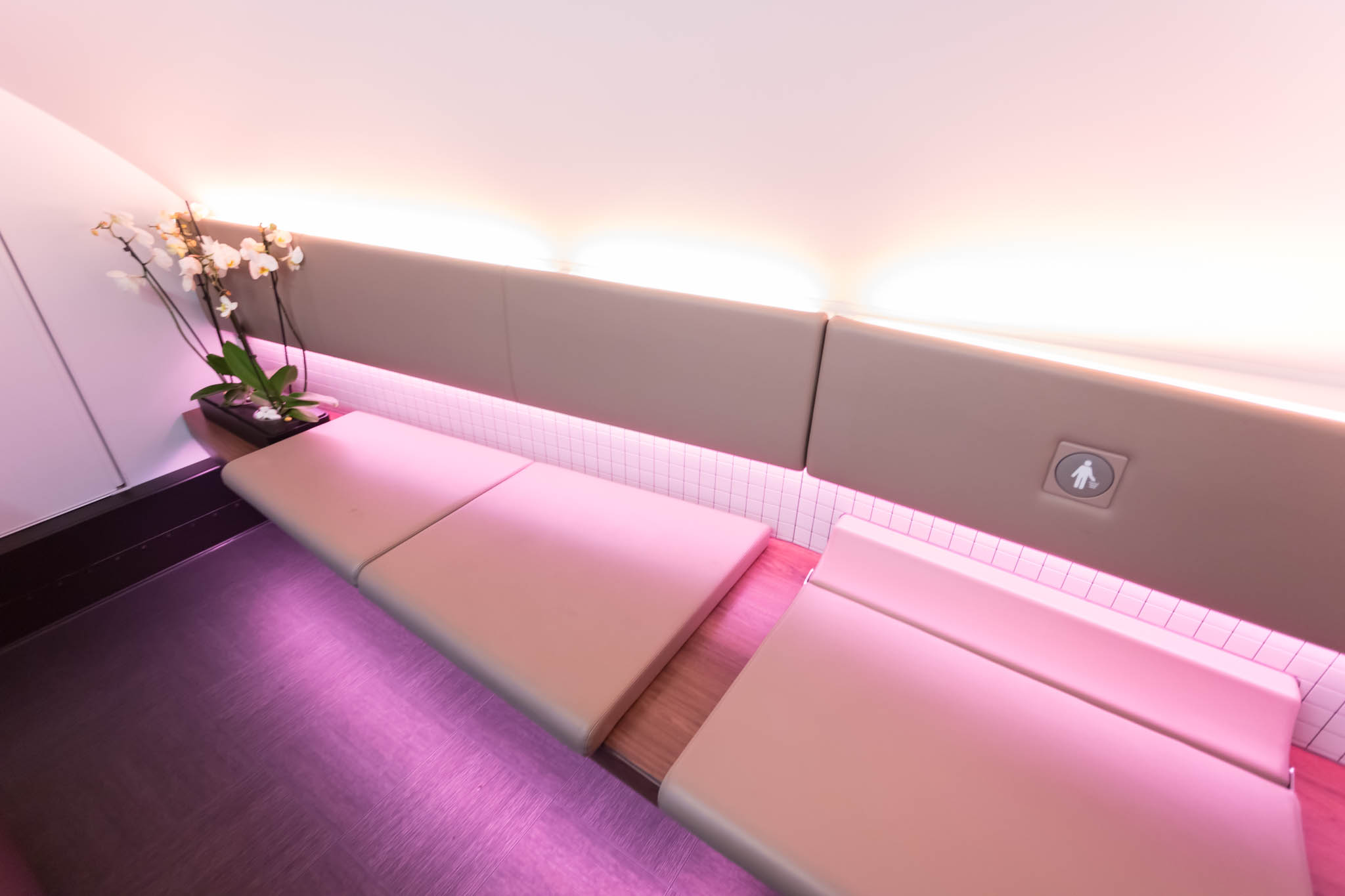 a bench with pink lights
