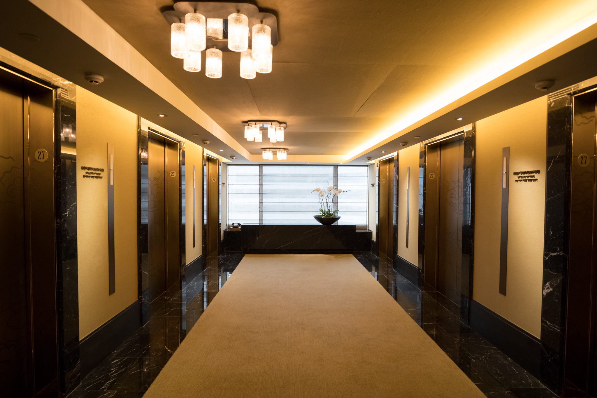 a hallway with a carpeted floor and lights
