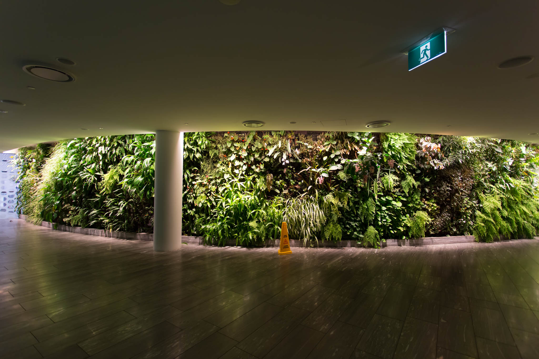 a green wall with plants in it