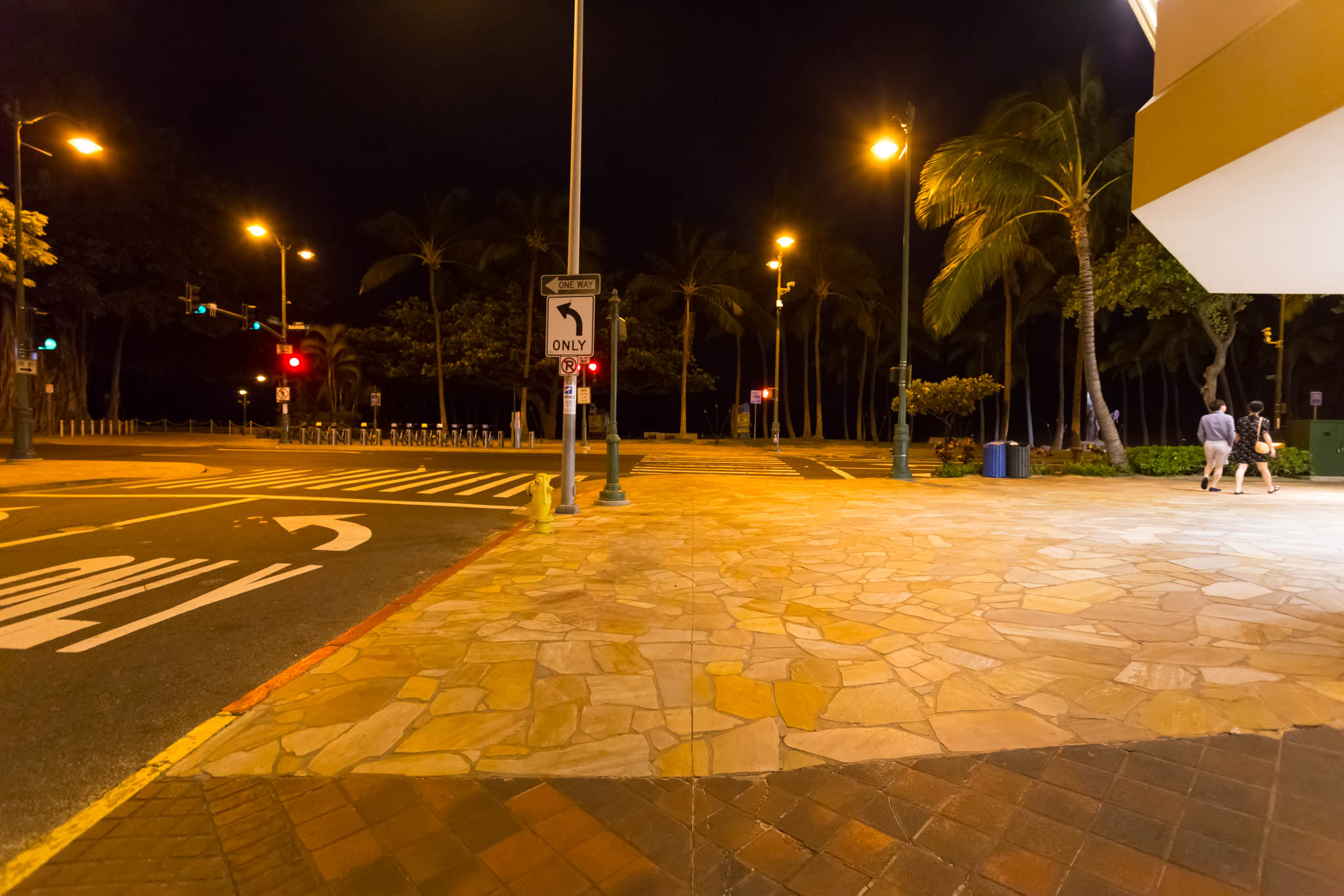 a street lights and palm trees at night