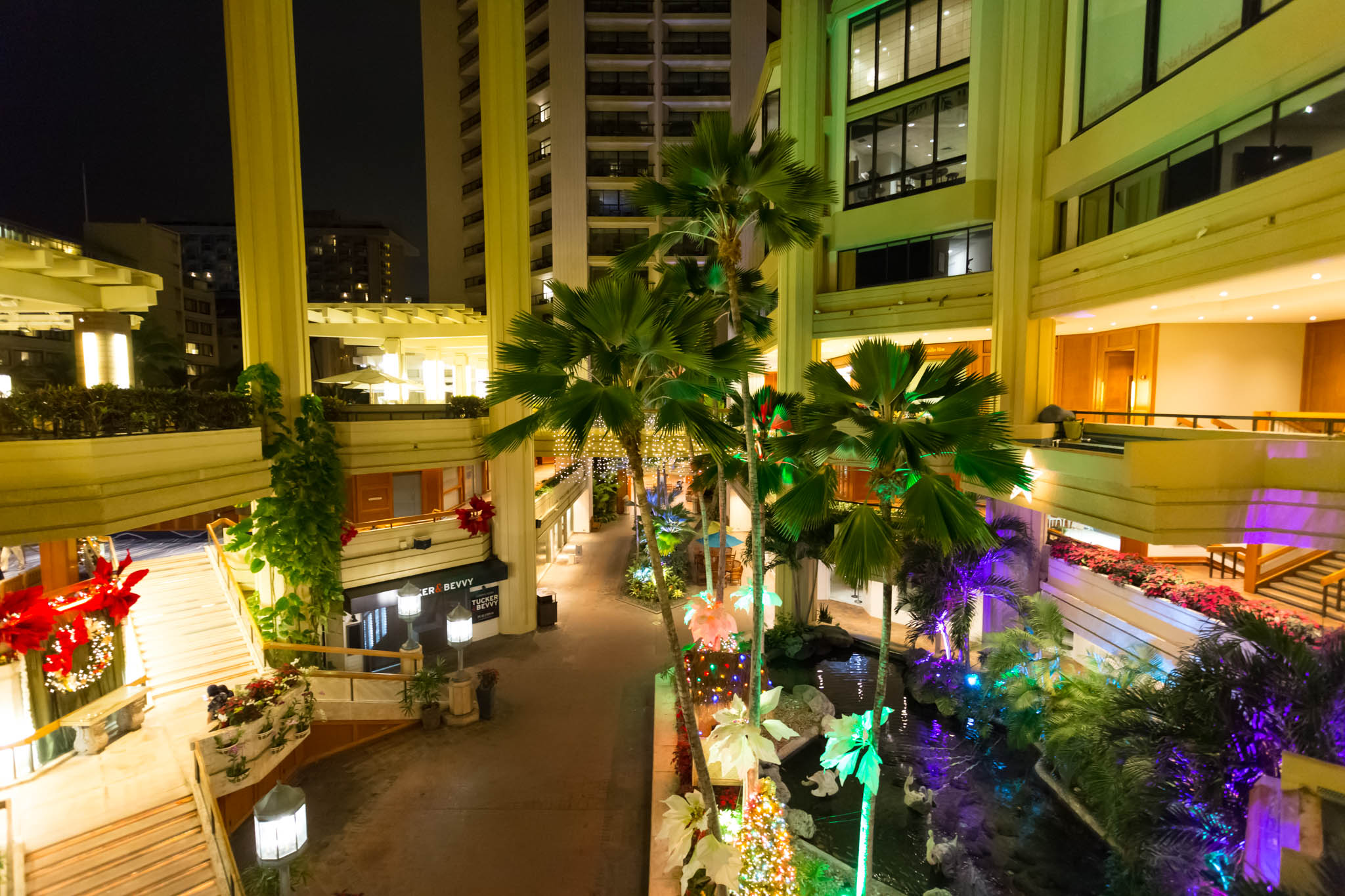 a courtyard with palm trees and lights