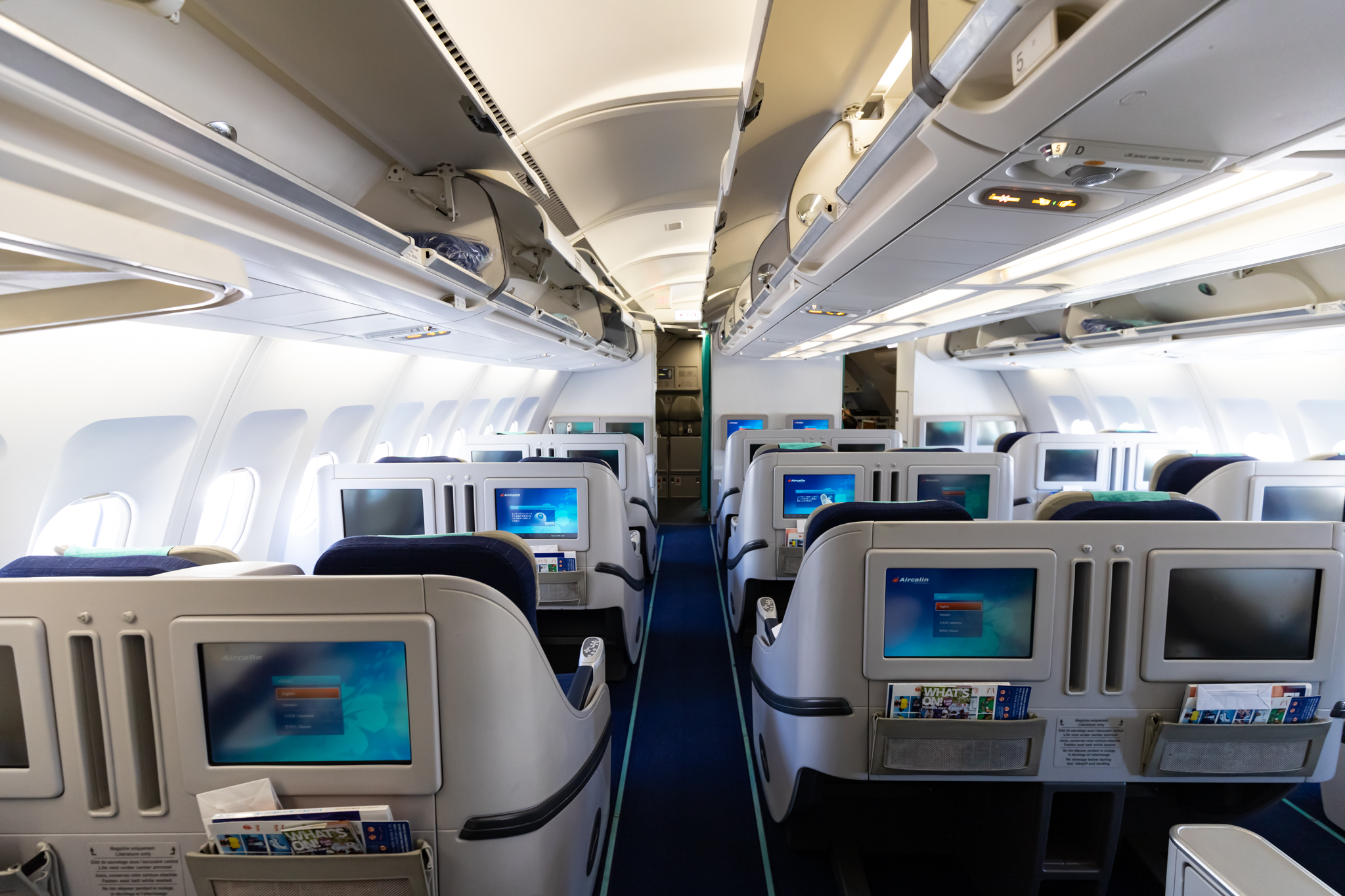 an airplane with rows of seats and a blue carpet